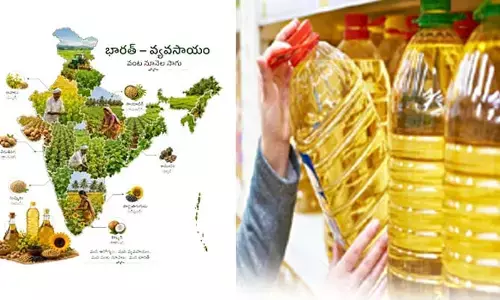 వంట నూనెల దిగుమతులకు రూ.1.61 లక్షల కోట్లు.. భారత్ సొంతంగా ఎందుకు ఉత్పత్తి చేసుకోలేకపోతోంది?