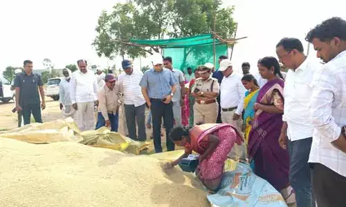 ఈనెల 20 వరకు ధాన్యం తరలింపు చివరి దశకు చేరేలా చర్యలు చేపడతాం : కలెక్టర్ భవేష్ మిశ్రా