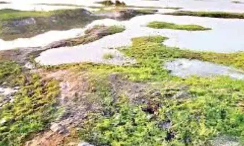 చేపల వేట..చెరువులు ఖాళీ