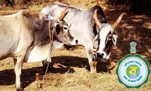 కొత్త జంతు వధ నిబంధనలు.. ఉల్లంఘిస్తే 6 నెలల జైలు, జరిమానా!
