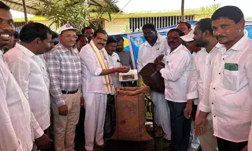 ప్రభుత్వమే జొన్న పంట కొనుగోలు చేసేలా కృషి చేస్తా : ఎమ్మెల్యే పాయల్