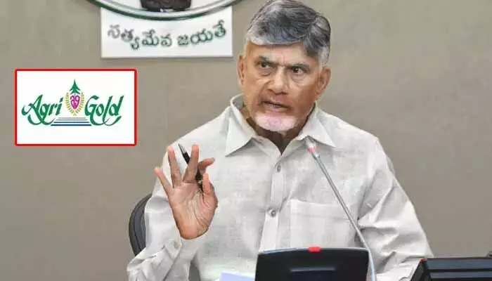 అగ్రిగోల్డ్ బాధితులకు గుడ్ న్యూస్.. చెల్లింపులపై సీఎం చంద్రబాబు కీలక ఆదేశాలు అగ్రిగోల్డ్ బాధితులకు గుడ్ న్యూస్.. చెల్లింపులపై సీఎం చంద్రబాబు కీలక ఆదేశాలు