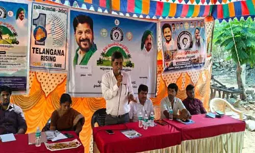 పంట మార్పిడితో అధిక దిగుబడులు