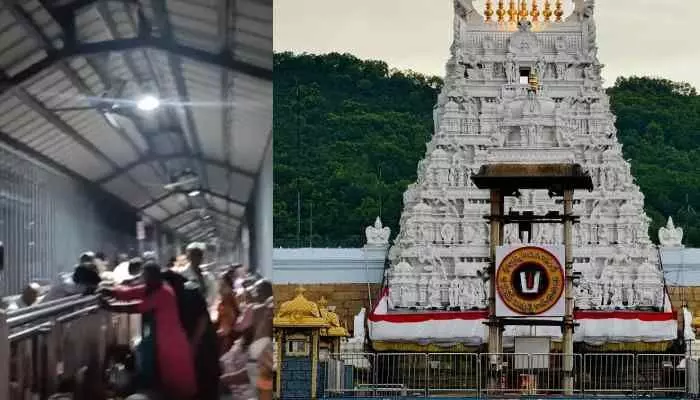 తిరుమలలో భక్తుల ఆందోళన..షాకింగ్ వీడియో వైరల్ ! తిరుమలలో భక్తుల ఆందోళన..షాకింగ్ వీడియో వైరల్ !
