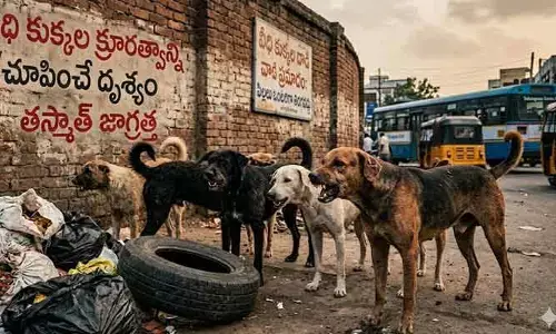 విశాఖలో ఘోరం.. చిన్నారిపై 10 కుక్కల దాడి చేసి చెవి కొరికేసిన వైనం