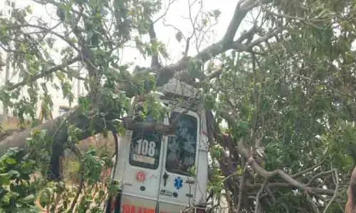 అంబులెన్స్ పై కూలిన చెట్టు