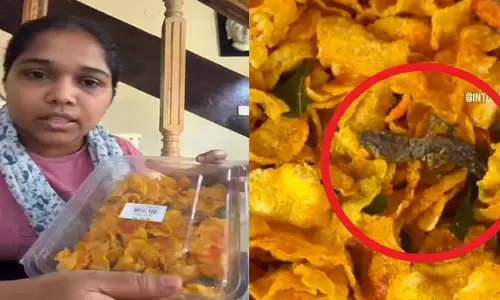 మిక్చ‌ర్ లో బ‌ల్లి ప్ర‌త్య‌క్ష్యం