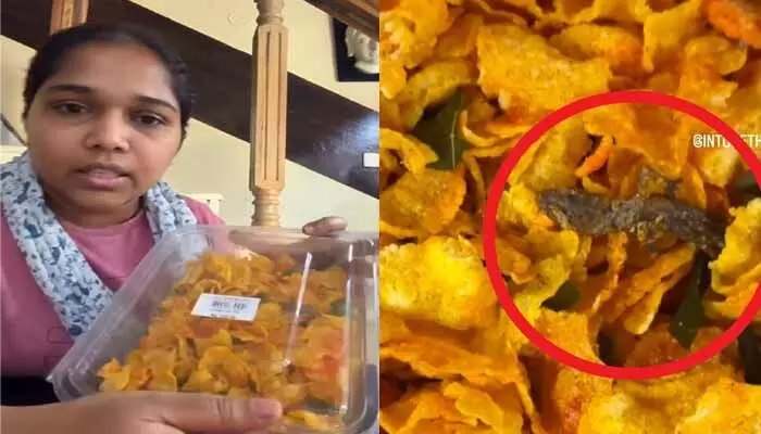 మిక్చర్ లో బల్లి ప్రత్యక్ష్యం మిక్చర్ లో బల్లి ప్రత్యక్ష్యం