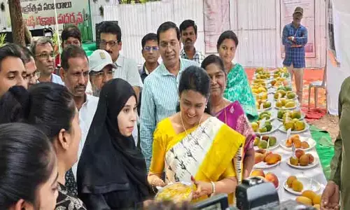 రసాల రారాజు హవా..రైతులను కట్టిపడేసిన మామిడి ప్రదర్శన