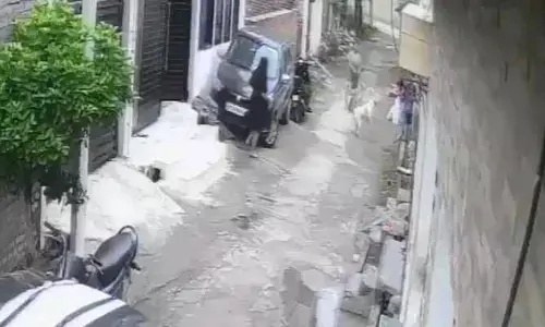 ట్యూషన్‌కు వెళ్తున్న బాలుడిపై కుక్కల దాడి