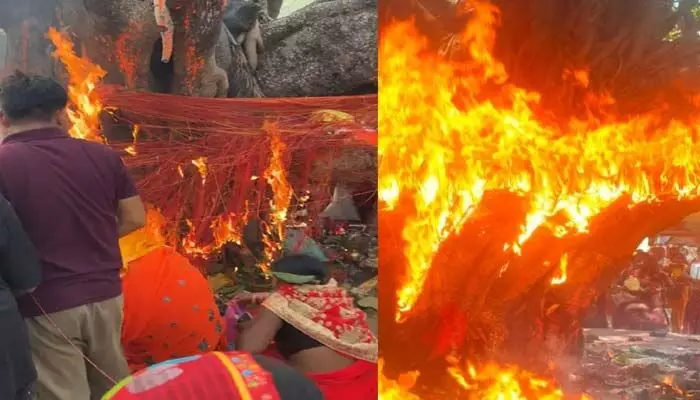 వటసావిత్రి పూజలో అపశ్రుతి.. భక్తుల నిర్లక్ష్యంతో కాలిపోయిన పురాతన మర్రిచెట్టు.. (వీడియో) వటసావిత్రి పూజలో అపశ్రుతి.. భక్తుల నిర్లక్ష్యంతో కాలిపోయిన పురాతన మర్రిచెట్టు.. (వీడియో)