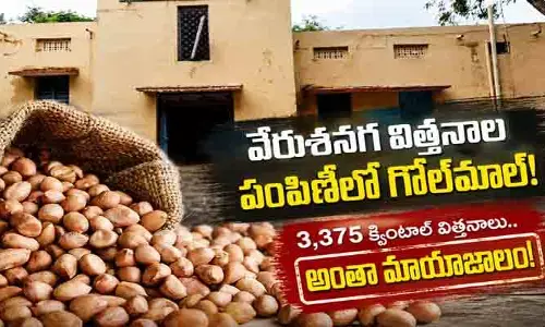 వేరుశనగ విత్తనాల పంపిణీలో భారీ గోల్‌మాల్?