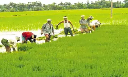 గోదావరి, కృష్ణా డెల్టా రైతులకు గుడ్ న్యూస్.. సాగు నీరు విడుదలపై కీలక అప్‌డేట్