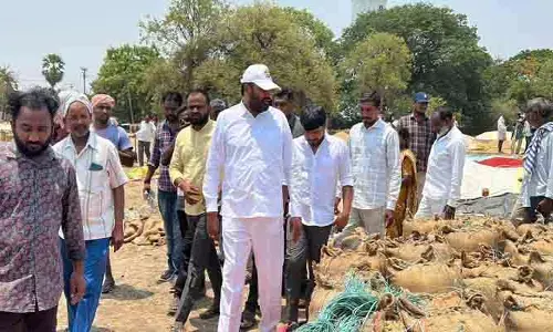 రాష్ట్ర ప్రభుత్వం మక్కలు కొనుగోలు చేస్తూ రైతులకు అండగా..