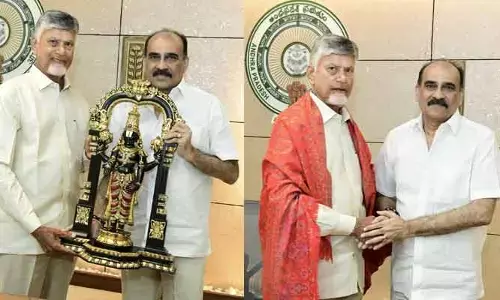 అమరావతిలో ఆసక్తికర పరిణామం.. చంద్రబాబును కలిసిన బాలినేని
