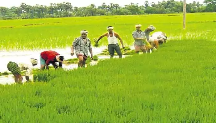 గోదావరి, కృష్ణా డెల్టా రైతులకు గుడ్ న్యూస్.. సాగు నీరు విడుదలపై కీలక అప్డేట్ గోదావరి, కృష్ణా డెల్టా రైతులకు గుడ్ న్యూస్.. సాగు నీరు విడుదలపై కీలక అప్డేట్