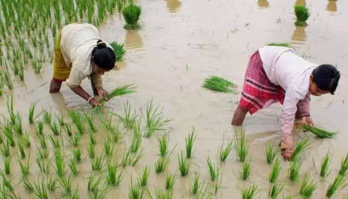 రైతులకు గుడ్ న్యూస్... ఖరీఫ్ సీజన్పై మంత్రి కీలక ప్రకటన రైతులకు గుడ్ న్యూస్... ఖరీఫ్ సీజన్పై మంత్రి కీలక ప్రకటన