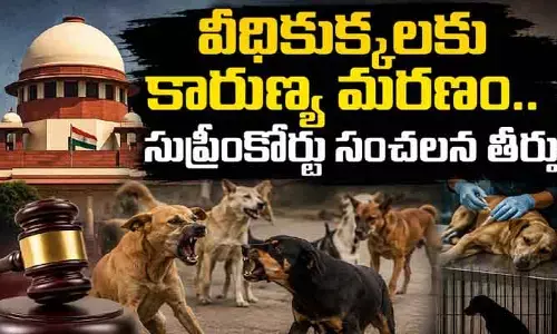 వీధికుక్కల్ని చంపేయండి.. సుప్రీంకోర్టు సంచలన తీర్పు