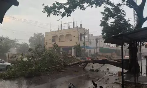 తొగుట మండలంలో గాలివాన బీభత్సం
