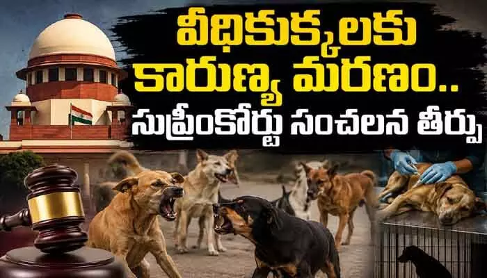 వీధికుక్కల్ని చంపేయండి.. సుప్రీంకోర్టు సంచలన తీర్పు వీధికుక్కల్ని చంపేయండి.. సుప్రీంకోర్టు సంచలన తీర్పు