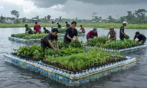 ప్లాస్టిక్ వ్యర్థాలతో ఫ్లోటింగ్ వెజిటబుల్ బెడ్స్.. అక్కడి యువత చేస్తున్న అద్భుతం ఇదే..