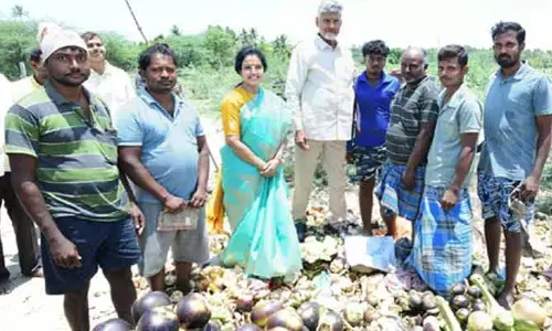 జాతరకు వెళ్తూ.. తాటిముంజలు రుచి చూసిన సీఎం చంద్రబాబు దంపతులు