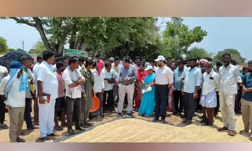 వరి కొనుగోలు కేంద్రాన్ని ఆకస్మికంగా తనిఖీ చేసిన కలెక్టర్