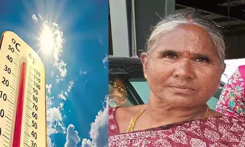 వడదెబ్బతో మహిళా రైతు మృతి