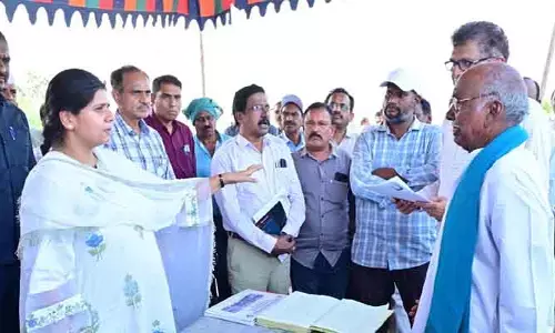 తుది దశకు చేరిన ధాన్యం సేకరణ ప్రక్రియ