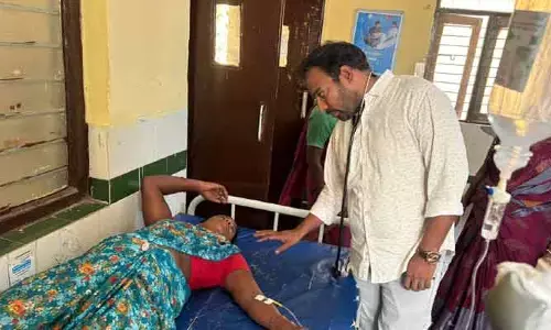 ఉపాధి హామీ కూలీల పై తేనెటీగల దాడి