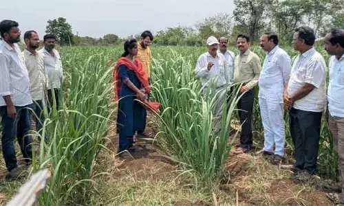 భూసార పరీక్షలే రైతుకు మార్గదర్శకం..!