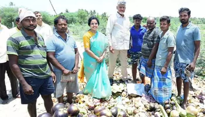 జాతరకు వెళ్తూ.. తాటిముంజలు రుచి చూసిన సీఎం చంద్రబాబు దంపతులు జాతరకు వెళ్తూ.. తాటిముంజలు రుచి చూసిన సీఎం చంద్రబాబు దంపతులు