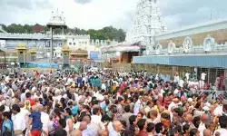 తిరుమలలో కొనసాగుతున్న భక్తుల రద్దీ.. వైకుంఠం క్యూ కాంప్లెక్స్ ఫుల్ తిరుమలలో కొనసాగుతున్న భక్తుల రద్దీ.. వైకుంఠం క్యూ కాంప్లెక్స్ ఫుల్