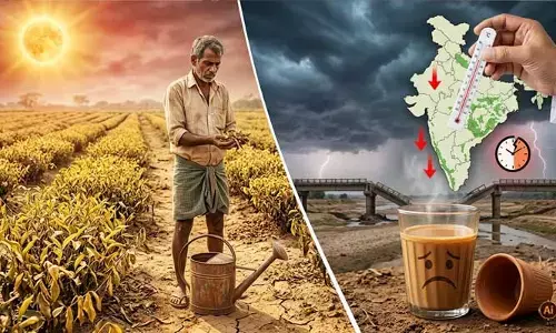 ‘టీ’ కప్పులో భారీ తుపాను..  దేశంలో 26 శాతానికి పడిపోయిన తేయాకు ఉత్పత్తి