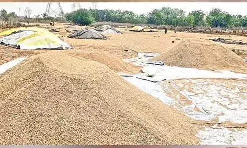 హత్నూరలో ధాన్యం కొనుగోలు నిర్లక్ష్యం పై కలెక్టర్ సీరియస్