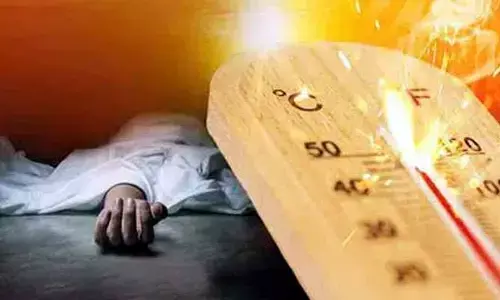 ఎండల ఉగ్రరూపం: ఒకే రోజు 10 మందికి వడదెబ్బ.. ఒకరి మృతి