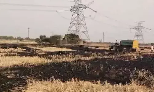 70 గడ్డిమోపులు దగ్ధం