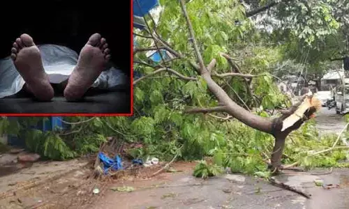 అనకాపల్లి జిల్లాలో ఈదురుగాలుల బీభత్సం: ఇద్దరు కూలీలు మృతి