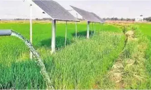 ఇందిరా సౌరగిరి జల వికాసానికి ‘గ్రహణం’