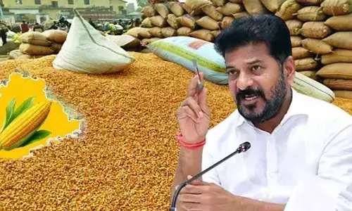 రైతులకు గుడ్ న్యూస్..మొక్కజొన్న కొనుగోళ్ల‍పై తెలంగాణ ప్రభుత్వం కీలక నిర్ణయం