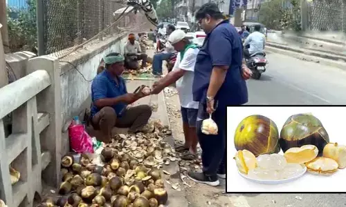 భగభగమంటున్న ఎండలు.. హైదరాబాద్‌లో తారాస్థాయికి చేరిన ‘తాటి ముంజల’ డిమాండ్!