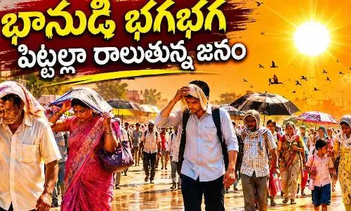 భానుడి భగభగ..పిట్టల్లా రాలుతున్న జనం