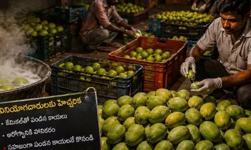 మామిడి తినేవాళ్ల‌కు అలర్ట్..పైన నిగనిగ...లోపల విషం.!