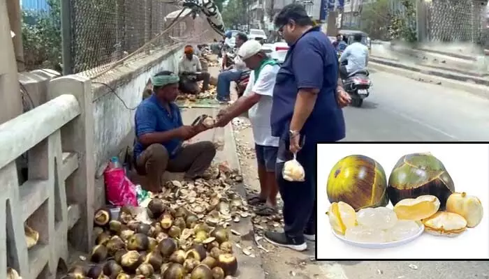 భగభగమంటున్న ఎండలు.. హైదరాబాద్లో తారాస్థాయికి చేరిన ‘తాటి ముంజల’ డిమాండ్! భగభగమంటున్న ఎండలు.. హైదరాబాద్లో తారాస్థాయికి చేరిన ‘తాటి ముంజల’ డిమాండ్!