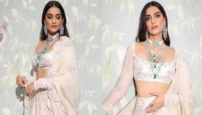పని మనుషుల కోసం సోనమ్ కీలక నిర్ణయం.. రూ. 51కోట్ల ఫ్లాట్ కోనుగోలు చేసిందా? పని మనుషుల కోసం సోనమ్ కీలక నిర్ణయం.. రూ. 51కోట్ల ఫ్లాట్ కోనుగోలు చేసిందా?