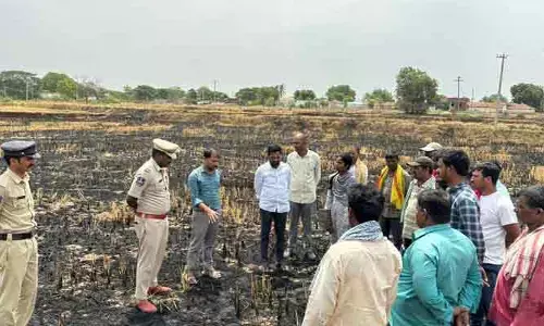 వరి కొయ్యలను కాల్చితే భూసారం, పర్యావరణానికి ముప్పు: వ్యవసాయ అధికారి