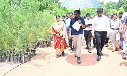 వనయజ్ఞం చేపట్టండి: పవన్ కల్యాణ్