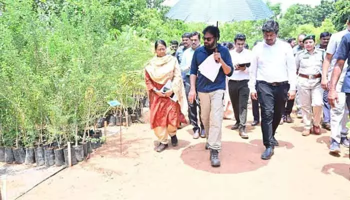 వనయజ్ఞం చేపట్టండి: పవన్ కల్యాణ్ వనయజ్ఞం చేపట్టండి: పవన్ కల్యాణ్
