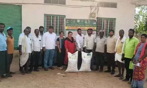 నేలతల్లికి పచ్చని ఊపిరి.. రైతులకు పచ్చిరొట్ట సిరి !