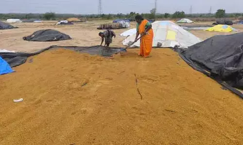 భారీవర్షానికి తడిసిన ధాన్యం.. రైతుల్లో ఆందోళన